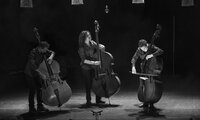 Concert contrebasse
